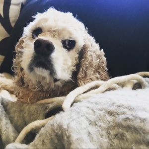 Meet your Posher, Kathleen